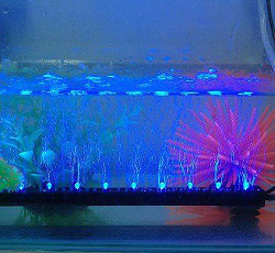 LED水底燈使用時，需要注意哪些事項(圖1)
